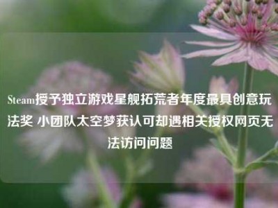 Steam授予独立游戏星舰拓荒者年度最具创意玩法奖 小团队太空梦获认可却遇相关授权网页无法访问问题