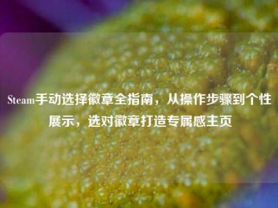 Steam手动选择徽章全指南，从操作步骤到个性展示，选对徽章打造专属感主页