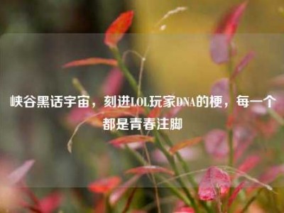 峡谷黑话宇宙，刻进LOL玩家DNA的梗，每一个都是青春注脚