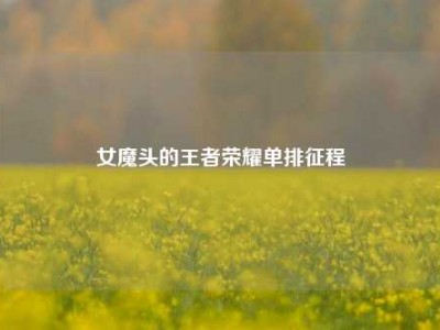 女魔头的王者荣耀单排征程