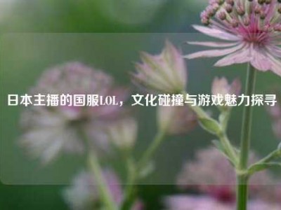 日本主播的国服LOL，文化碰撞与游戏魅力探寻