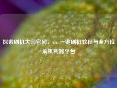 探索刷机大师官网，vivo一键刷机教程与全方位刷机利器平台