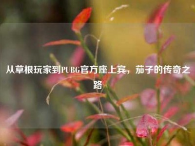 从草根玩家到PUBG官方座上宾，茄子的传奇之路