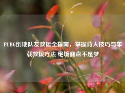 PUBG倒地队友救援全指南，掌握背人技巧与车载救援方法 绝境翻盘不是梦