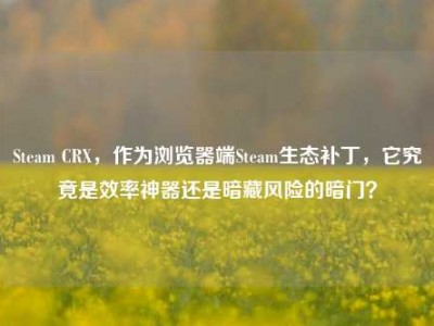 Steam CRX，作为浏览器端Steam生态补丁，它究竟是效率神器还是暗藏风险的暗门？