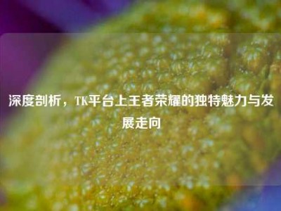深度剖析，TK平台上王者荣耀的独特魅力与发展走向