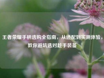 王者荣耀手柄选购全指南，从适配到实测体验，教你避坑选对趁手装备