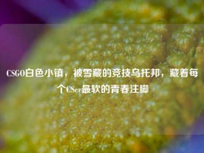 CSGO白色小镇，被雪藏的竞技乌托邦，藏着每个CSer最软的青春注脚