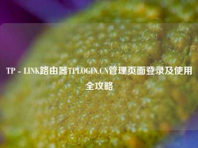 TP - LINK路由器TPLOGIN.CN管理页面登录及使用全攻略
