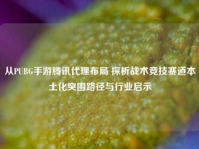 从PUBG手游腾讯代理布局 探析战术竞技赛道本土化突围路径与行业启示