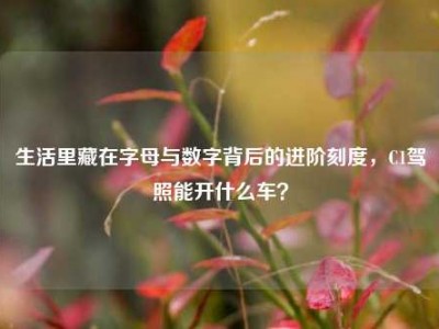 生活里藏在字母与数字背后的进阶刻度，C1驾照能开什么车？