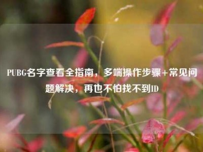 PUBG名字查看全指南，多端操作步骤+常见问题解决，再也不怕找不到ID