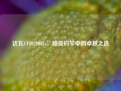 达瓦CF802MHFs，路亚钓竿中的卓越之选