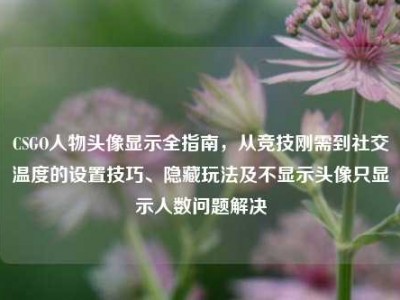 CSGO人物头像显示全指南，从竞技刚需到社交温度的设置技巧、隐藏玩法及不显示头像只显示人数问题解决