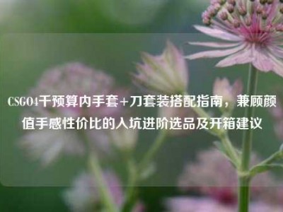 CSGO4千预算内手套+刀套装搭配指南，兼顾颜值手感性价比的入坑进阶选品及开箱建议