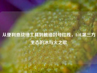 从便利查战绩工具到触碰封号红线，LOL第三方生态的冰与火之歌
