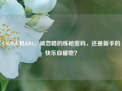 CSGO人机KDA，被忽略的练枪密码，还是新手的快乐自留地？