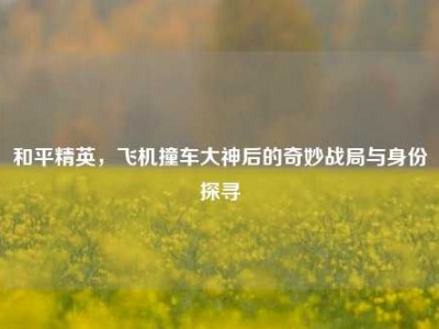 和平精英，飞机撞车大神后的奇妙战局与身份探寻