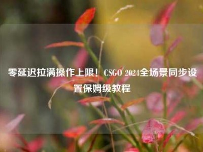 零延迟拉满操作上限！CSGO 2024全场景同步设置保姆级教程
