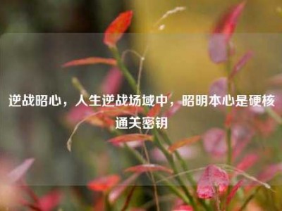 逆战昭心，人生逆战场域中，昭明本心是硬核通关密钥