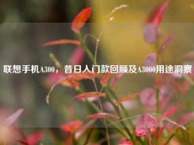 联想手机A300，昔日入门款回顾及A3000用途洞察