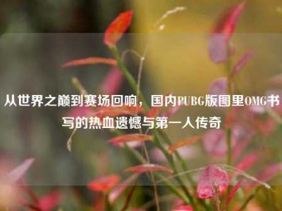 从世界之巅到赛场回响，国内PUBG版图里OMG书写的热血遗憾与第一人传奇