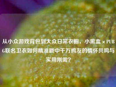 从小众游戏背包到大众日常衣橱，小黑盒×PUBG联名卫衣如何精准戳中千万鸡友的情怀共鸣与实用刚需？
