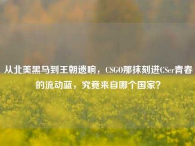 从北美黑马到王朝遗响，CSGO那抹刻进CSer青春的流动蓝，究竟来自哪个国家？
