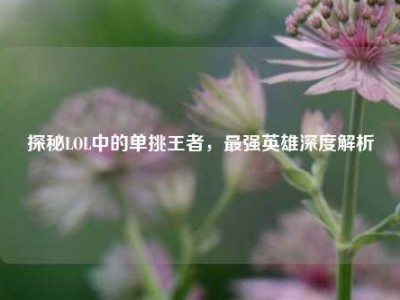 探秘LOL中的单挑王者，最强英雄深度解析
