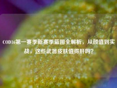COD16第一赛季新赛季蓝图全解析，从颜值到实战，这些武器皮肤值得肝吗？