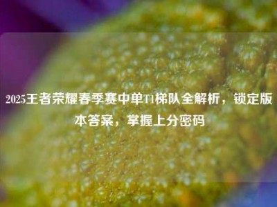 2025王者荣耀春季赛中单T1梯队全解析，锁定版本答案，掌握上分密码