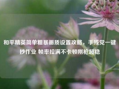 和平精英简单粗暴画质设置攻略，手残党一键抄作业 帧率拉满不卡顿刚枪超稳