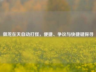 御龙在天自动打怪，便捷、争议与快捷键探寻
