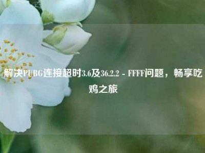 解决PUBG连接超时3.6及36.2.2 - FFFF问题，畅享吃鸡之旅