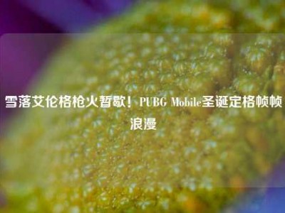 雪落艾伦格枪火暂歇！PUBG Mobile圣诞定格帧帧浪漫