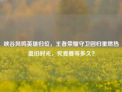 峡谷风鸣英雄归位，王者荣耀守卫回归重燃热血旧时光，究竟要等多久？