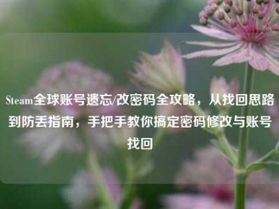 Steam全球账号遗忘/改密码全攻略，从找回思路到防丢指南，手把手教你搞定密码修改与账号找回