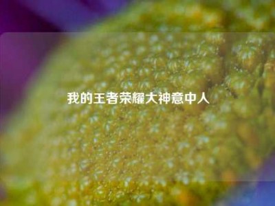 我的王者荣耀大神意中人