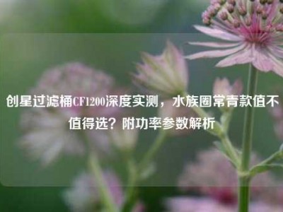 创星过滤桶CF1200深度实测，水族圈常青款值不值得选？附功率参数解析
