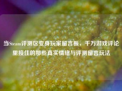 当Steam评测区变身玩家留言板，千万游戏评论里接住的那些真实情绪与评测留言玩法