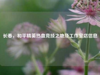 长春，和平精英热血竞技之地及工作室店信息