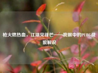 枪火燃热血，江湖见锋芒——我眼中的PUBG战狼解说