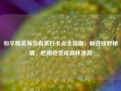 和平精英海岛森系打卡点全指南，躲进绿野秘境，把刚枪变成森林漫游