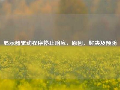 显示器驱动程序停止响应，原因、解决及预防