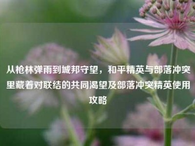 从枪林弹雨到城邦守望，和平精英与部落冲突里藏着对联结的共同渴望及部落冲突精英使用攻略