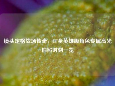 镜头定格战场传奇，CF全英雄级角色专属高光拍照时刻一览