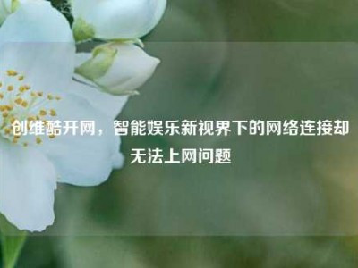 创维酷开网，智能娱乐新视界下的网络连接却无法上网问题
