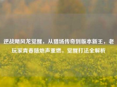 逆战飓风龙觉醒，从猎场传奇到版本新王，老玩家青春随炮声重燃，觉醒打法全解析