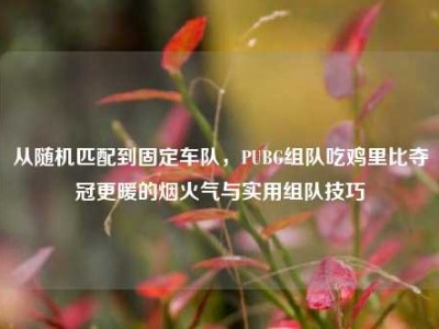 从随机匹配到固定车队，PUBG组队吃鸡里比夺冠更暖的烟火气与实用组队技巧