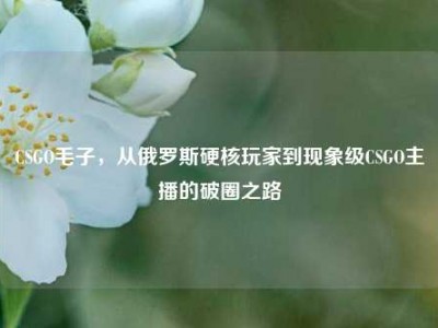 CSGO毛子，从俄罗斯硬核玩家到现象级CSGO主播的破圈之路